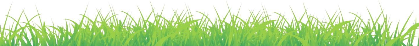 footer-grass