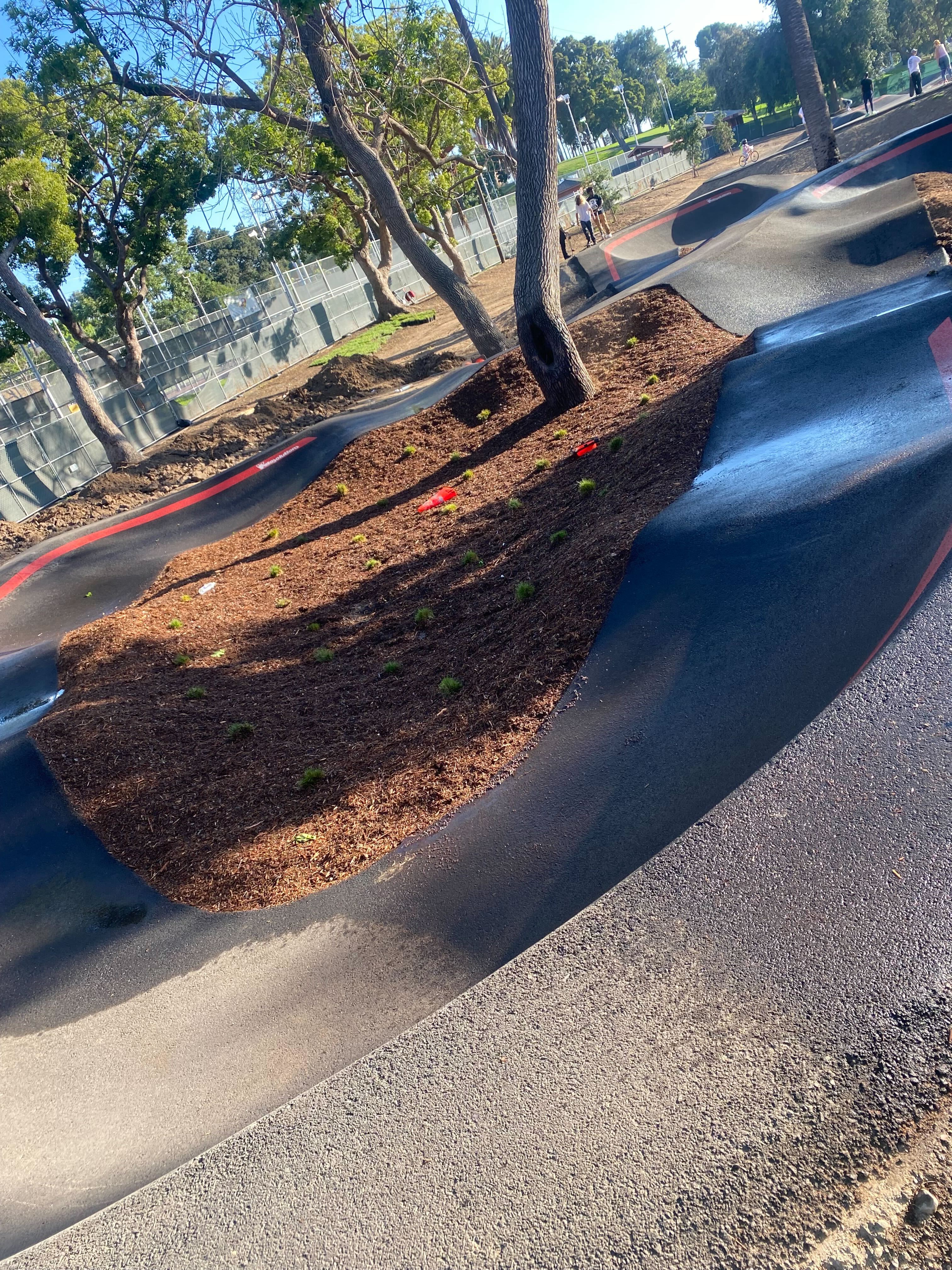 Gallery Image : Innovative Growth Landscape