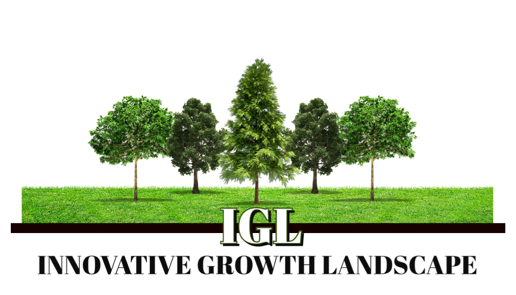Innovative Growth Landscape